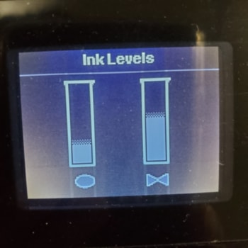 HP printer Ink Levels Window